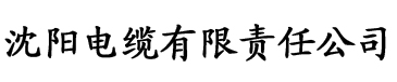 炮炮短视频电缆厂logo